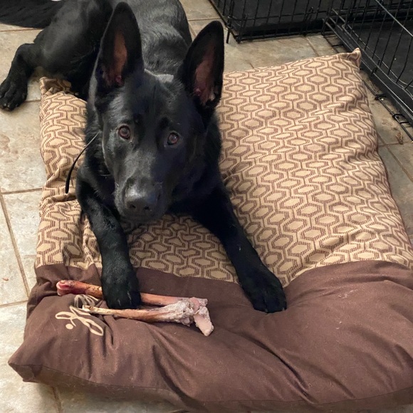 Meet your Posher, Heather - Picture 1 of 1